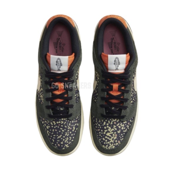 Унисекс кроссовки Nike Dunk Low Rainbow Trout